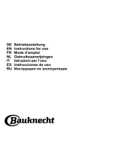 Bauknecht BHSS 90F L T B K Mode d'emploi