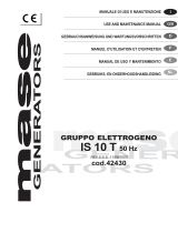 Mase Generators 42430 Usage Manual