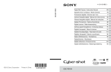 Sony Série Cyber Shot DSC-RX100 Manuel utilisateur