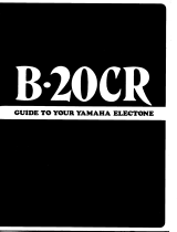 Yamaha B20CR Le manuel du propriétaire