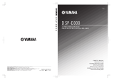 Yamaha DSP-E800 Le manuel du propriétaire