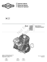 Briggs & Stratton 200000 Vanguard Manuel utilisateur