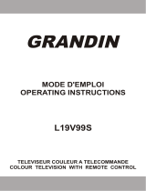 Grandin L19V99S Operating Instructions Manual