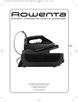 Rowenta DG8030 EXPERT PRESSURE IRON STEAMER Le manuel du propriétaire