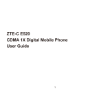 ZTE C C-E520 public mobile Manuel utilisateur