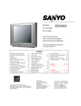 Sanyo DS24424 Manuel utilisateur