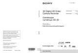Sony HDR-TD20V Mode d'emploi