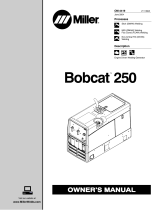 Miller BOBCAT 250 (ONAN) Le manuel du propriétaire