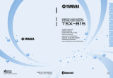 Yamaha TSX-B15 BLUE Manuel utilisateur