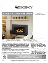 Regency Fireplace Products Horizon HZI390EB Le manuel du propriétaire