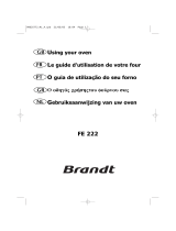 Brandt FE222BS1 Le manuel du propriétaire