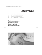 Groupe Brandt TE270WS1 Le manuel du propriétaire