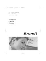 Groupe Brandt KI569WE1 Le manuel du propriétaire