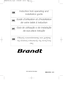 Brandt TI300BS1 Le manuel du propriétaire