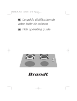 Brandt TI313BS1 Le manuel du propriétaire