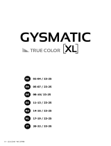 GYS LCD GYSMATIC 5/13 TRUE COLOR XL Le manuel du propriétaire