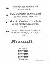 Brandt TI210BT1 Le manuel du propriétaire