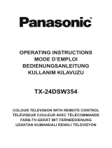 Panasonic TX24DSW354 Mode d'emploi