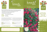 Knock Out Rose71371