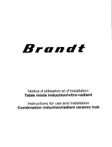 Groupe Brandt BIV60X Le manuel du propriétaire