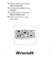 Brandt TE270XB1 Le manuel du propriétaire