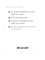 Groupe Brandt TE318XU1 Le manuel du propriétaire