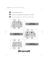 Groupe Brandt TE516XS1 Le manuel du propriétaire