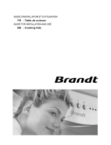 Groupe Brandt TE874XS1 Le manuel du propriétaire