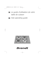 Brandt TG213WS1 Le manuel du propriétaire