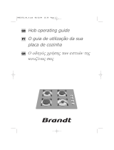 Brandt TG532BS1 Le manuel du propriétaire