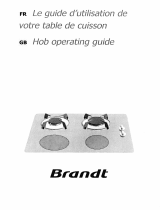 Brandt TI313BS1 Le manuel du propriétaire