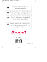 Brandt TV210BT1 Le manuel du propriétaire