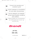 Brandt TV250XT1 Le manuel du propriétaire
