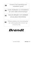 Groupe Brandt TV300BT1 Le manuel du propriétaire