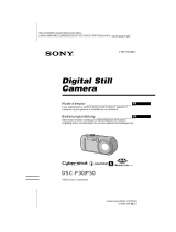 Sony DSC-P30 Le manuel du propriétaire