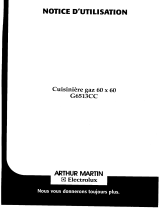 Arthur_Martin G6513CCT1GASAME.. Manuel utilisateur