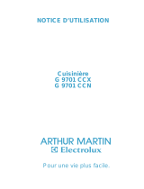 ARTHUR MARTIN G9701CCX Manuel utilisateur