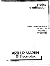 ARTHUR MARTIN ELECTROLUX TV3500N1 Manuel utilisateur