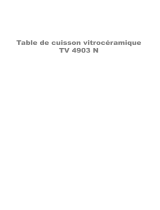 ARTHUR MARTIN ELECTROLUX TV490333C Manuel utilisateur