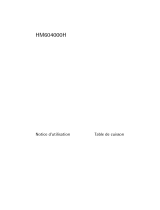 Aeg-Electrolux HM604000H Manuel utilisateur