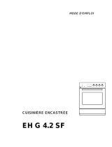 ThermaEH G 4.2 SF