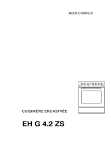 Electrolux EHG4.2ZSWS Manuel utilisateur