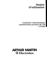 ARTHUR MARTIN ELECTROLUX CV6950N1 Manuel utilisateur