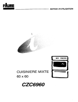 Faure CZC6960W Manuel utilisateur