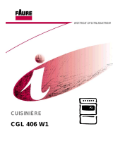 Faure CGL406W1 Manuel utilisateur