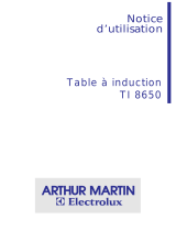 ARTHUR MARTIN ELECTROLUX TI8650N Manuel utilisateur