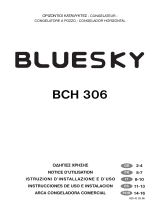Bluesky BCH306 Manuel utilisateur