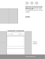 Gorenje EC6353XPA Le manuel du propriétaire