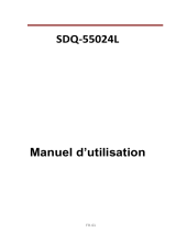 Denver SDQ-55024 Manuel utilisateur