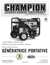 Champion Power Equipment100203